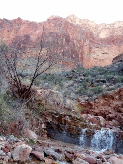 IMG_20130314_170011.jpg